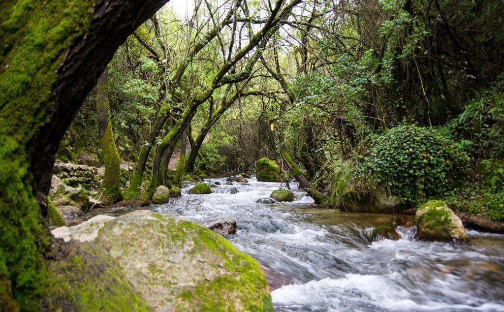 Appartamento El Rincon De Higueras