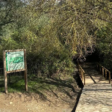 El Rincon De Las Higueras El Bosque Exterior foto